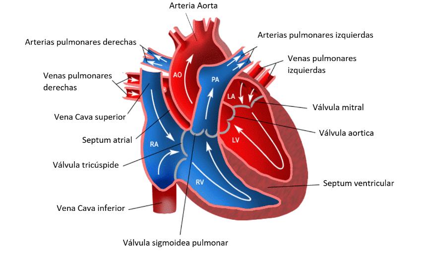 Draft Samper 411837410 7764 Fig2.jpg