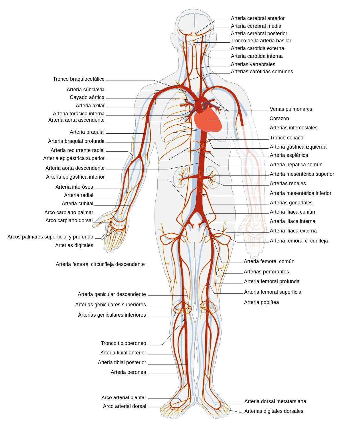 Draft Samper 411837410 3798 Fig4.jpg