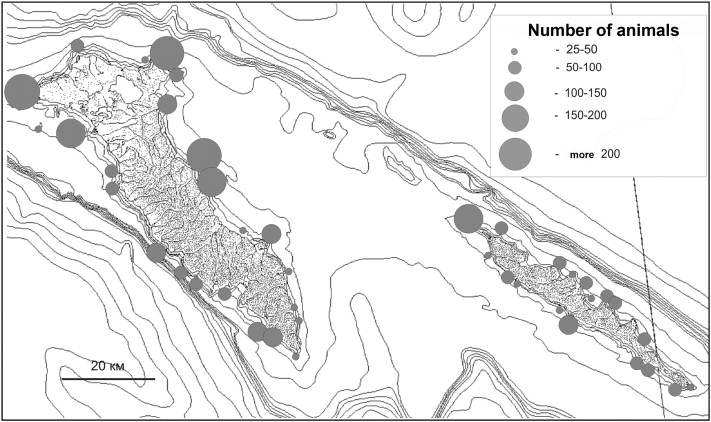 Distribution of the main rookeries of seals on the Komandorsky Islands in 2005.