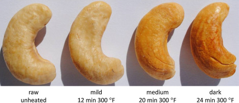 Representative images of cashew nuts following heating at 300°F for 12min ...