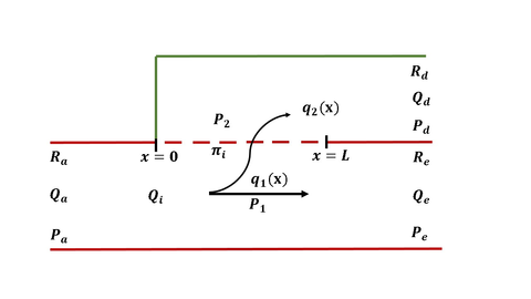 Modelo tubular del glomérulo [7].