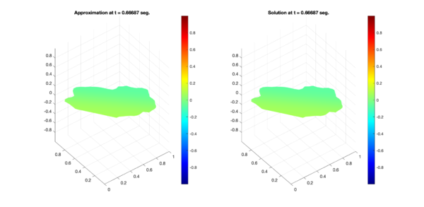 Comparison between numerical results (left) and exact solution (right) for test region D. Test 1 (Top) and Test 2 (Bottom).