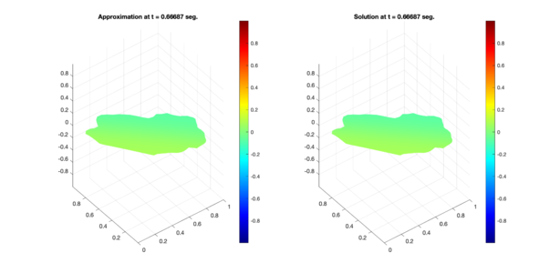 Comparison between numerical results (left) and exact solution (right) for test region D. Test 1 (Top) and Test 2 (Bottom).