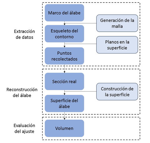 Etapas del proceso de         parametrización.