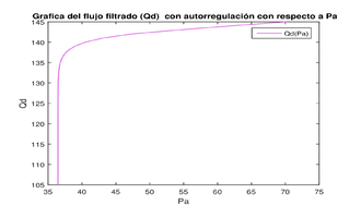   Grafica del flujo Qd con el proceso de autorregulación.